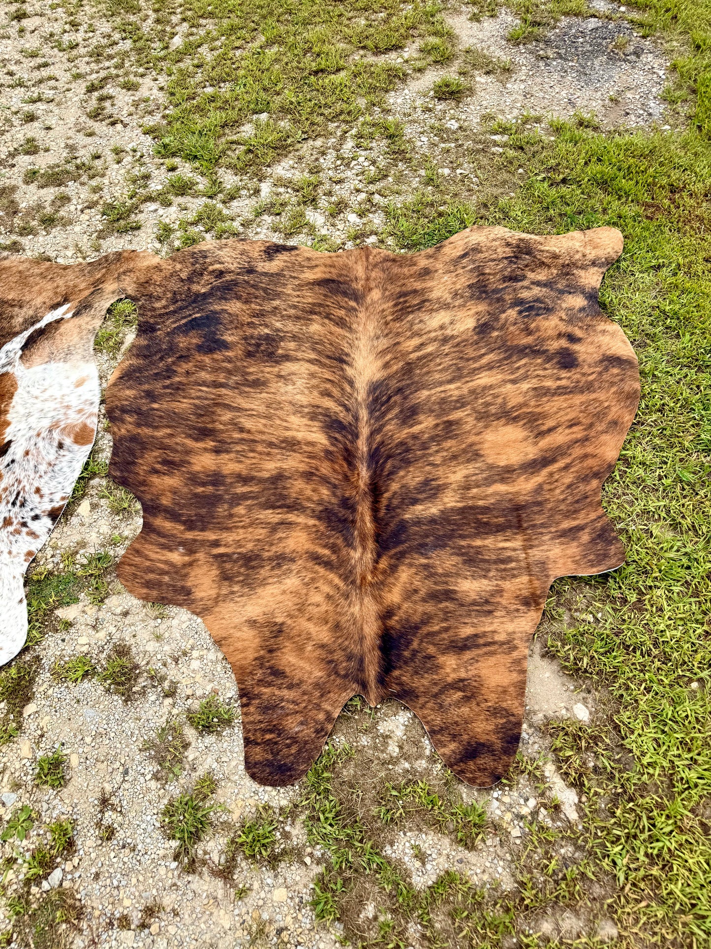 Custom Matching Cowhide Set | Full Size + 5ft Cowhide | Western Wedding & Farmhouse Decor